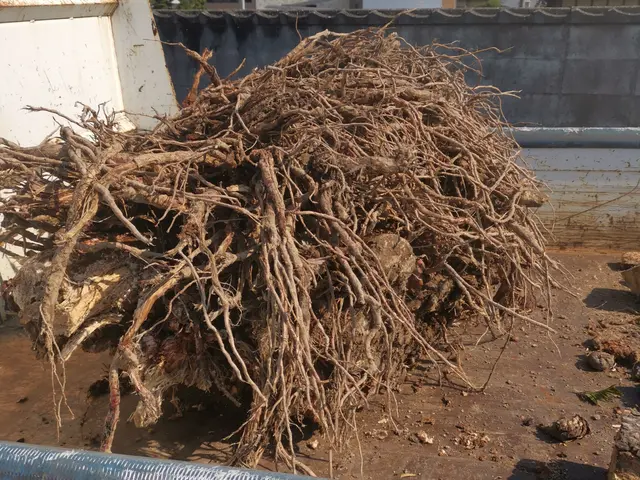 【年中無休で営業】早朝・夜間の作業OK！親切対応・丁寧に作業いたします◯サービスの画像