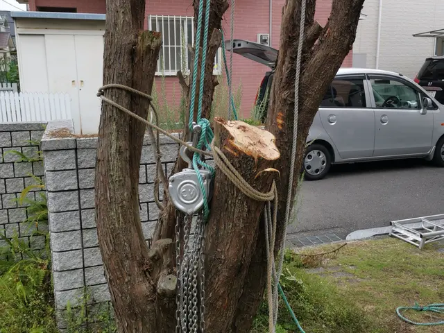 【年中無休で営業】早朝・夜間の作業OK！親切対応・丁寧に作業いたします◯サービスの画像