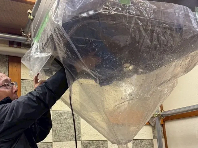 飲食業界30年の経験が活きる、天井埋込エアコンの丁寧クリーニングサービスの画像