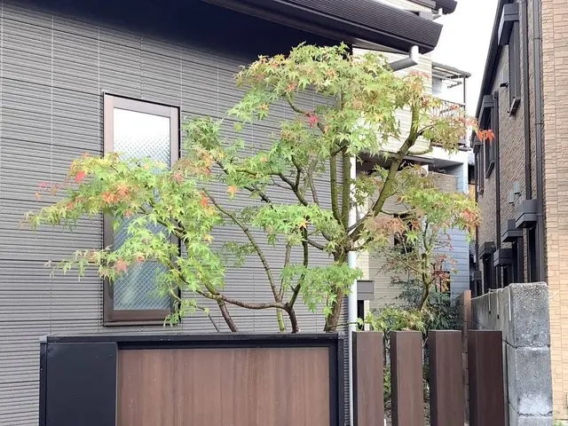 【明るく風通しの良いお庭へ】業界歴40年の庭師と店長の2人で丁寧に仕上げます。サービスの画像