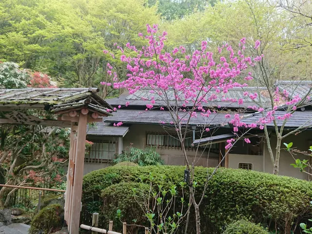 【明るく風通しの良いお庭へ】業界歴40年の庭師と店長の2人で丁寧に仕上げます。サービスの画像