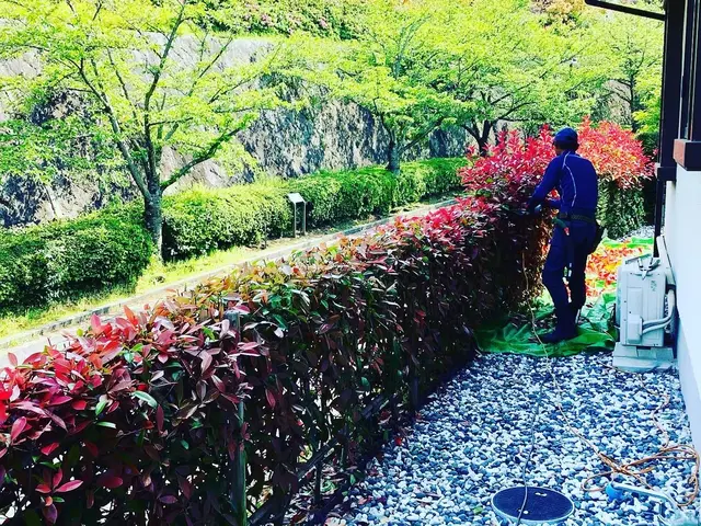 【明るく風通しの良いお庭へ】業界歴40年の庭師と店長の2人で丁寧に仕上げます。サービスの画像