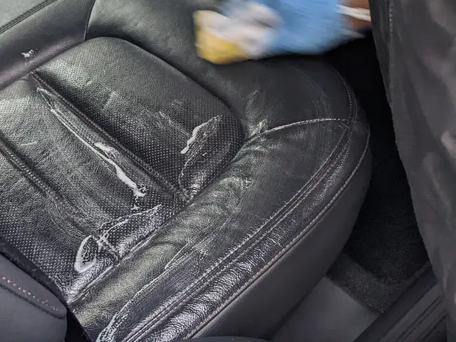 【革シート洗浄】ペット臭/カビ汚れ/汗尿/嘔吐イオンウォッシュで解決致します！！サービスの画像