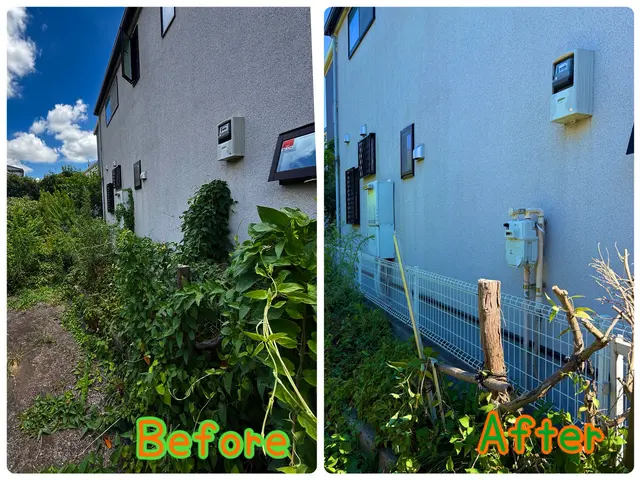 【安心、安全、安価！】汚らしいツタの除去は私にお任せ下さい！サービスの画像