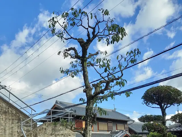 【年中無休】土日祝もご予約大歓迎！完全自社対応！営業時間外も対応可能！サービスの画像