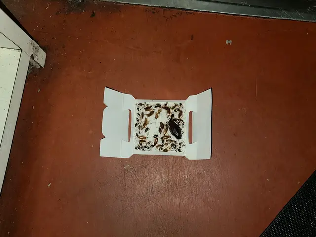 【豊富な経験・実績あり】損害保険加入済み◎営業時間外・対応地域外でもご要望可能！サービスの画像