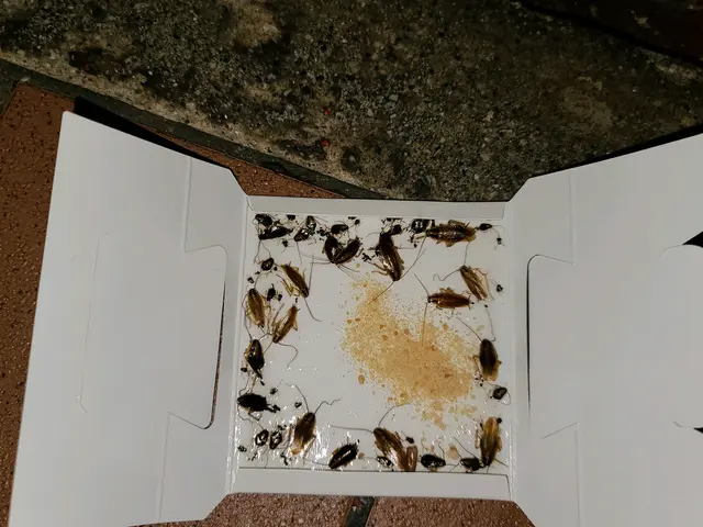 【豊富な経験・実績あり】損害保険加入済み◎営業時間外・対応地域外でもご要望可能！サービスの画像