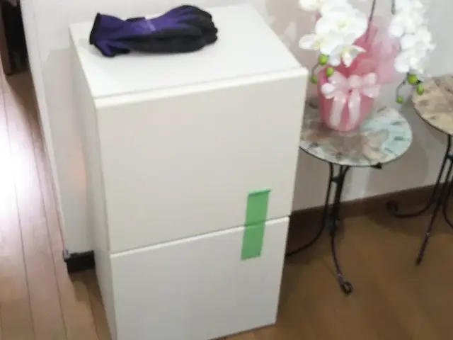 1月まで予約可能/24H作業OK!・大物家具・大型家電・女性スタッフ派遣OK!サービスの画像