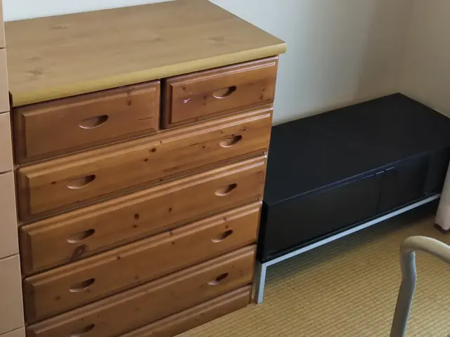 1月まで予約可能/24H作業OK!・大物家具・大型家電・女性スタッフ派遣OK!サービスの画像