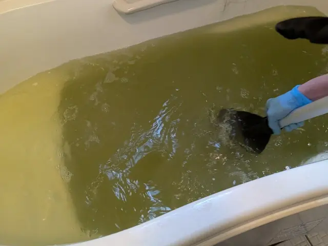 風呂釜洗浄サービスの画像