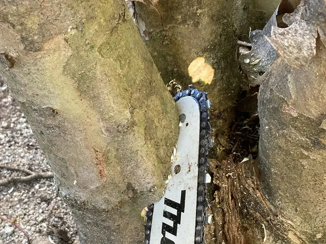 独立開業18周年キャンペーン中！お庭の事なら（株）庭づくりにお任せください。サービスの画像