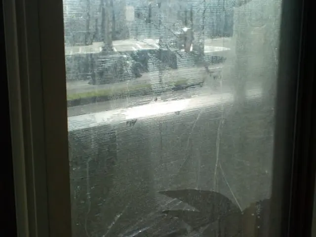 窓・サッシの掃除10枚以下は同額。11枚目からは93％引きになります！サービスの画像