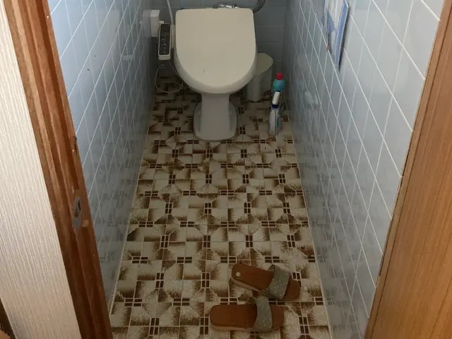 一式、脱衣所、トイレ、９０００円サービスの画像