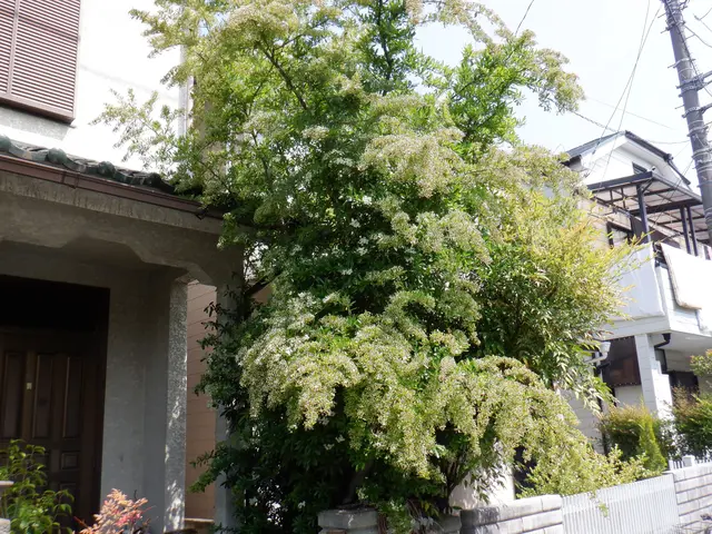 《平日・土ご予約歓迎！》経験豊富な職人が揃ってます！何でも当店へお任せください！サービスの画像