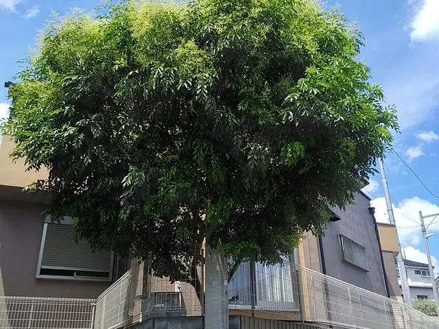 《平日・土ご予約歓迎！》経験豊富な職人が揃ってます！何でも当店へお任せください！サービスの画像