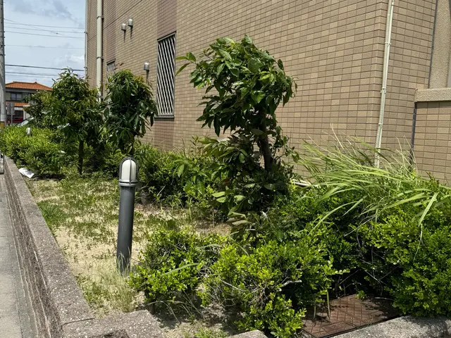 100%自社対応！人工芝張り！防草シート、整地もご相談ください！サービスの画像