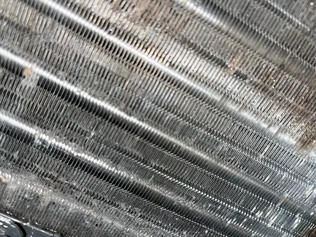 ◆元ラーメン店正社員の明るく元気な接客と清潔感ある対応で気になる箇所をピカピカにサービスの画像