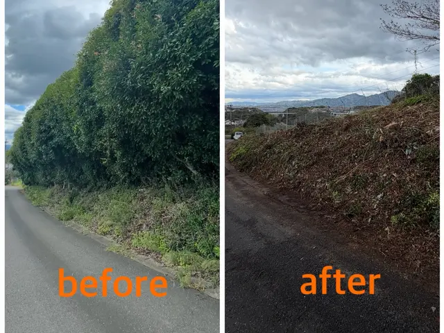 庭木の伐採作業サービスの画像