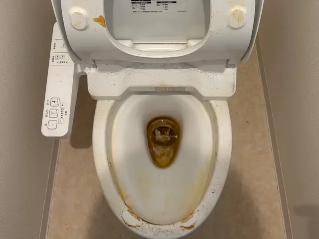 【完全自社施工】実績多数のプロがお伺いしますサービスの画像