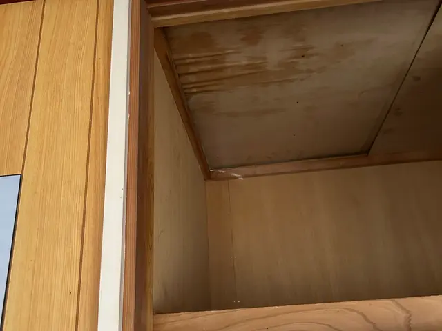 害獣駆除　年中無休　イタチ、ハクビシン、アライグマサービスの画像