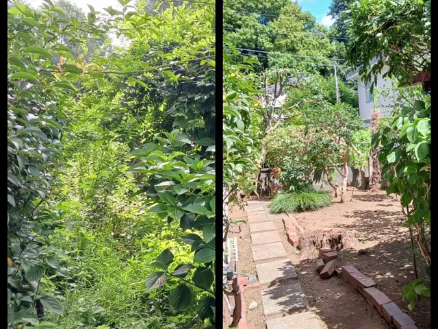 新年を綺麗なお庭で迎えませんか？お庭のことなら庭　翔黒にお任せください。サービスの画像