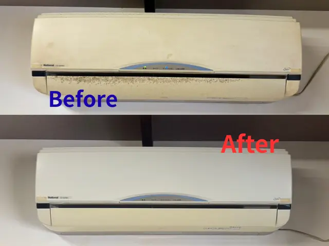 【今夏新規出店】エアコンの汚れや嫌な臭い・カビを解決！法人で安心 / 損保加入済サービスの画像