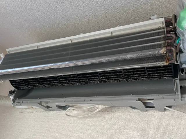 【2万件超の実績】今月限定抗菌コート無料！！サービスの画像