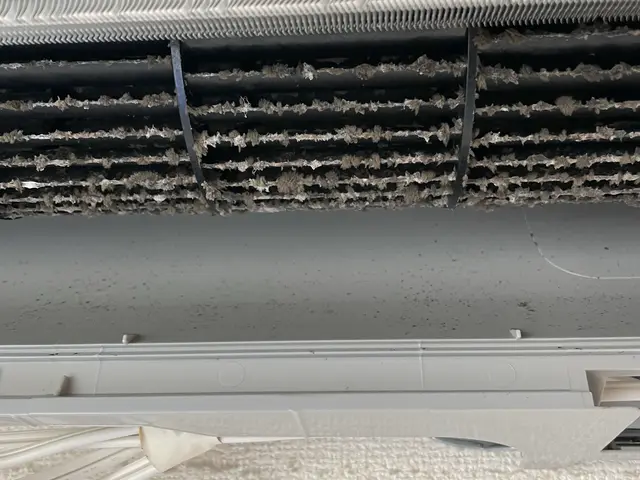 【2万件超の実績】今月限定抗菌コート無料！！サービスの画像