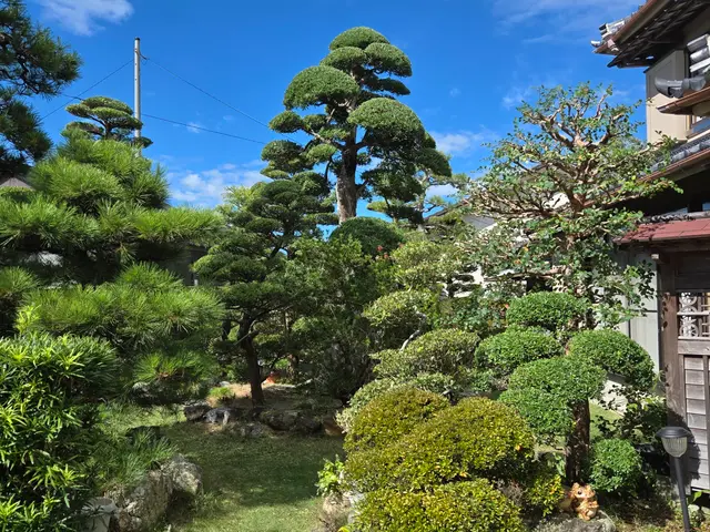 業界歴10年！親切丁寧に対応◎お気軽にご相談ください！サービスの画像