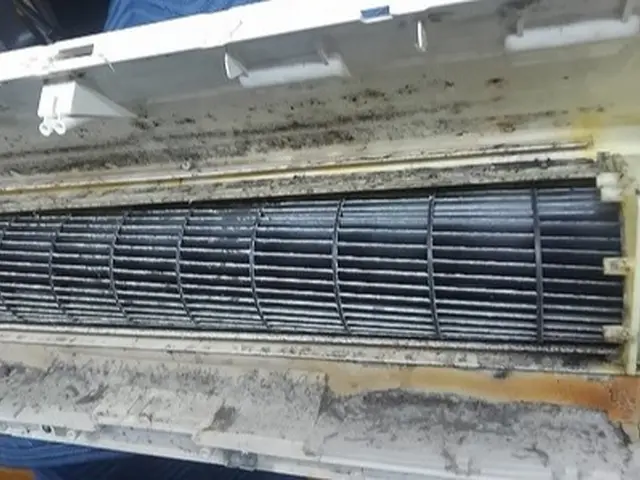 3度洗いでこの価格！内部のカビの除菌効果が期待できます！しっかり綺麗にしたい方へサービスの画像