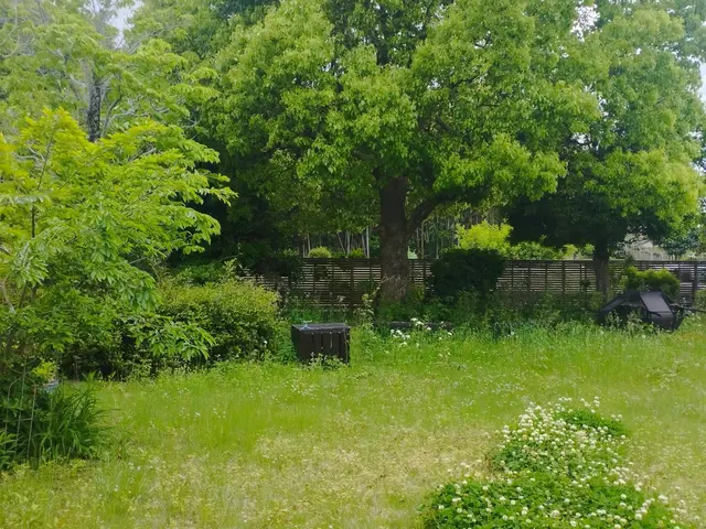 お庭お手入れ手で草むしり/除草剤散布 /防草シートなどお気軽にお声掛け下さい。サービスの画像