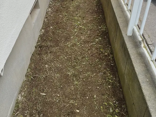 お庭お手入れ手で草むしり/除草剤散布 /防草シートなどお気軽にお声掛け下さい。サービスの画像