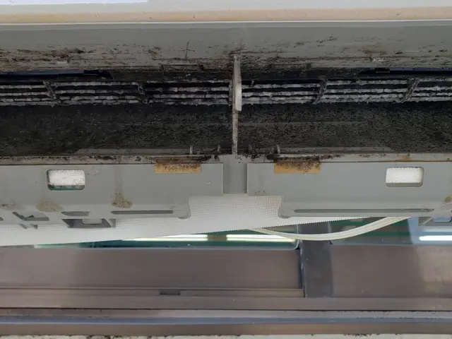 複数台がお得！2台目からは割引きに！松山市中心・損害保険加入済サービスの画像