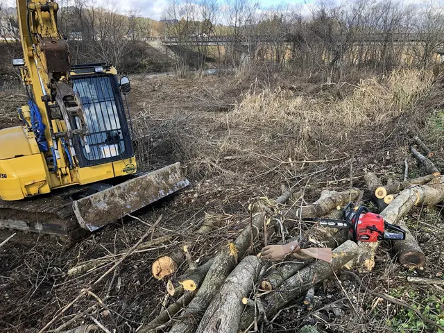 造園・錦鯉池庭園作成・伐採作業サービスの画像
