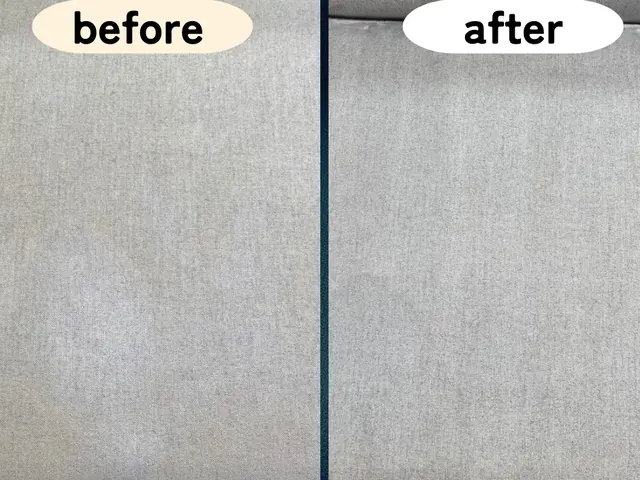 ソファークリーニングサービスの画像