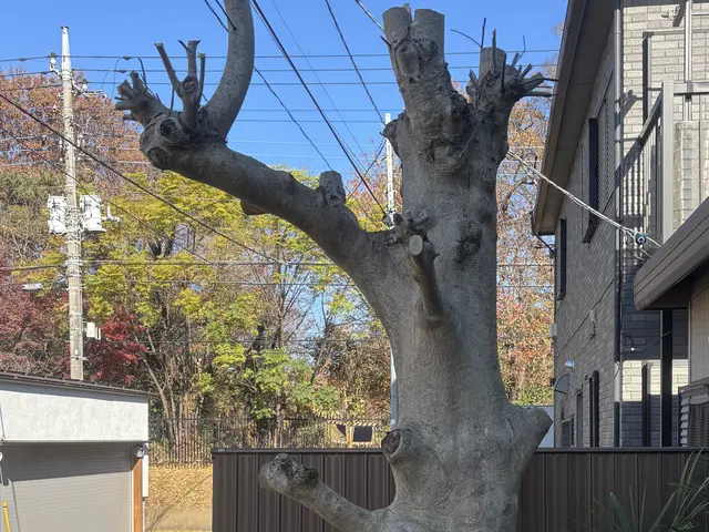 ご要望を伺って手掛けるお庭リニューアル！理想の庭をきめ細かくヒアリングして実現サービスの画像