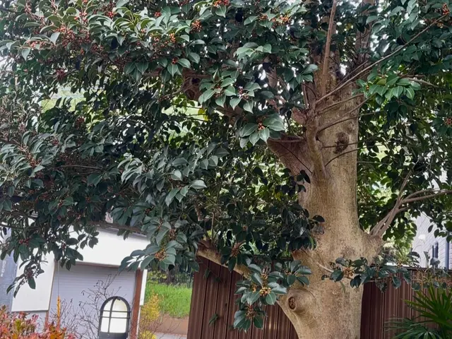 ご要望を伺って手掛けるお庭リニューアル！理想の庭をきめ細かくヒアリングして実現サービスの画像