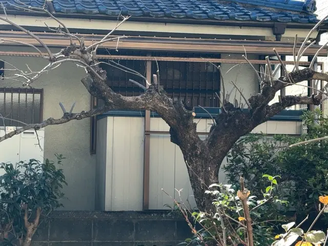 ご要望を伺って手掛けるお庭リニューアル！理想の庭をきめ細かくヒアリングして実現サービスの画像