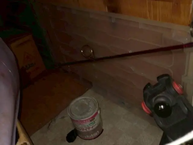 24h/当日可！国家資格保持者による5種類の薬剤とスチームで徹底的に完全駆除！サービスの画像