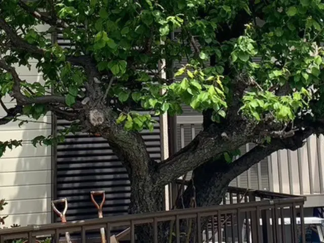 24h/当日可！国家資格保持者による5種類の薬剤とスチームで徹底的に完全駆除！サービスの画像