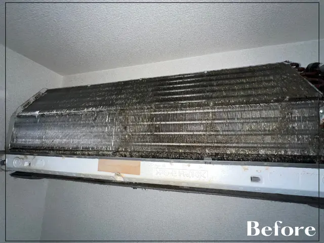 《損害保険加入◎》電気工事士保持◇確かな実績を活かしどんな黒カビも撃退！サービスの画像