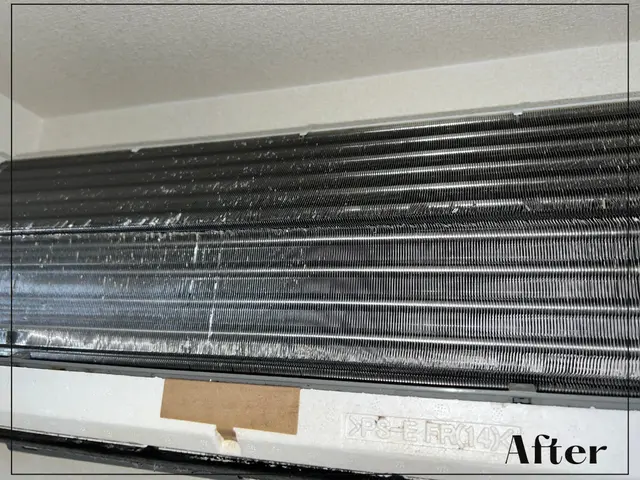 《損害保険加入◎》電気工事士保持◇確かな実績を活かしどんな黒カビも撃退！サービスの画像