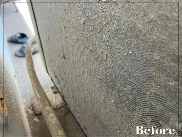 《損害保険加入◎》電気工事士保持◇確かな実績を活かしどんな黒カビも撃退！サービスの画像