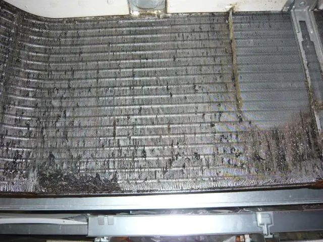 【2／4出店】24年の経験と年間1000件以上の実績！安心・丁寧な技術で快適空間サービスの画像