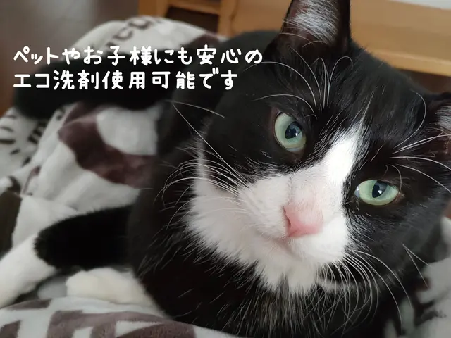 ☆くらマオープン記念特別価格☆お子様やペットにも安心のエコ洗剤で丁寧に洗浄◎サービスの画像