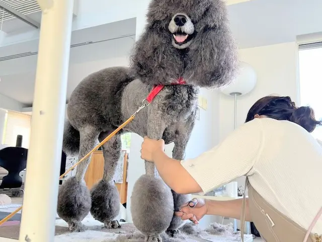 犬専門トリミングサービス★トリミングサロンで10年以上経験の店長が対応いたしますサービスの画像