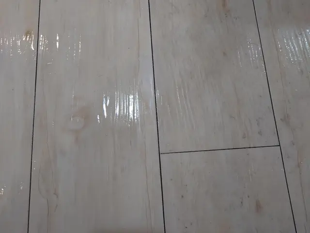 新規参入で口コミありませんが経験値は充分。安心してお任せください。サービスの画像