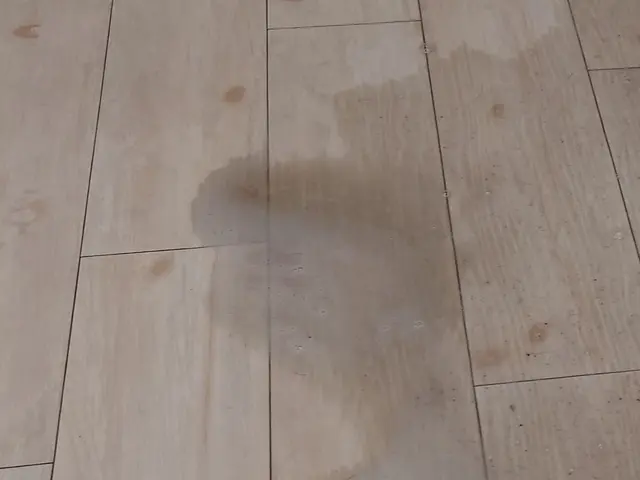 新規参入で口コミありませんが経験値は充分。安心してお任せください。サービスの画像