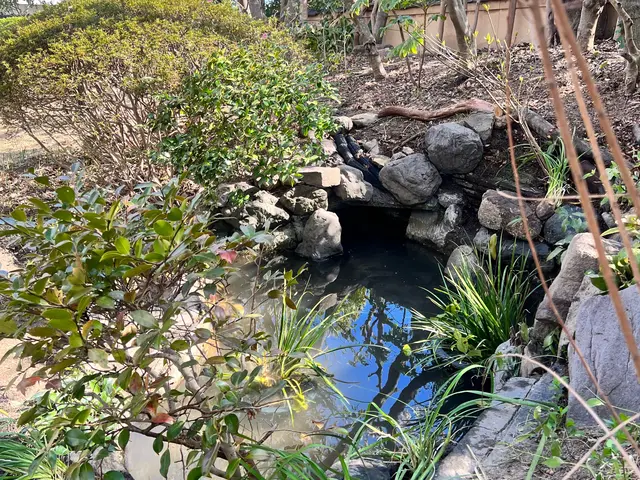 15年以上の実績！女性スタッフ同行で安心の庭木お手入れサービスの画像