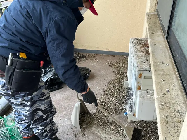 ベランダに来る鳩でお困りの方ご相談下さい！鳥害獣対策工事は弊社へお任せください♪サービスの画像